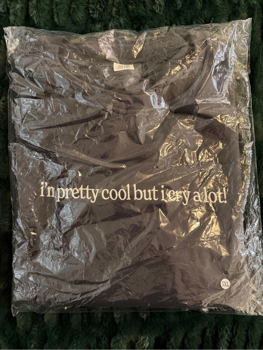 i’m pretty cool but i cry a lot - See The Way I See